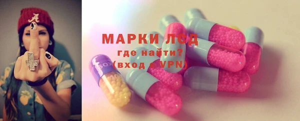 мет Алексин