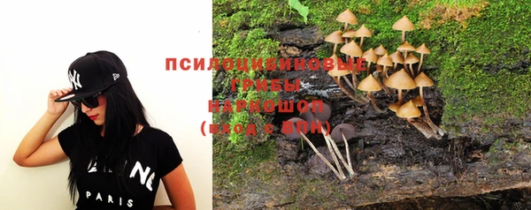 мет Алексин
