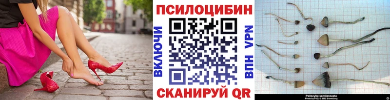 blacksprut зеркало  Каргат  Псилоцибиновые грибы Magic Shrooms 