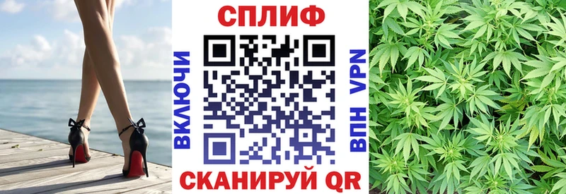 mega tor  Каргат  Канабис семена 